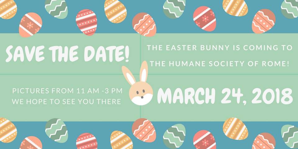 Pictures with the Easter Bunny @ Humane Society of Rome | Rome | New York | United States