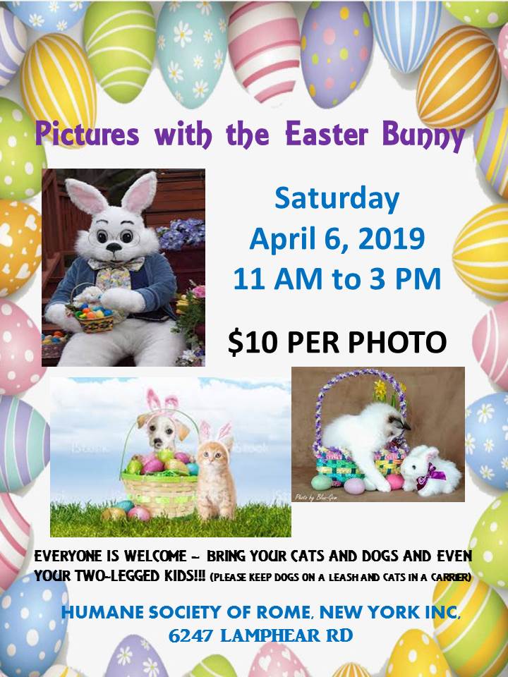 Pictures with the Easter Bunny @ Humane Society of Rome | Rome | New York | United States