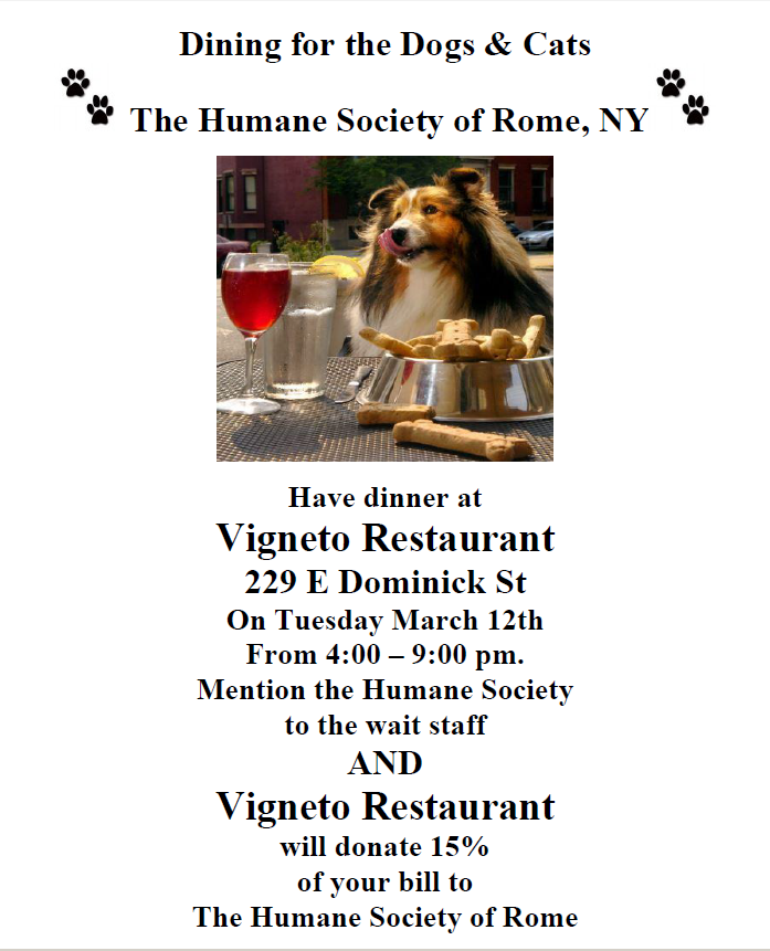 Dining for Dogs and Cats Too @ Vigneto Restaurant 