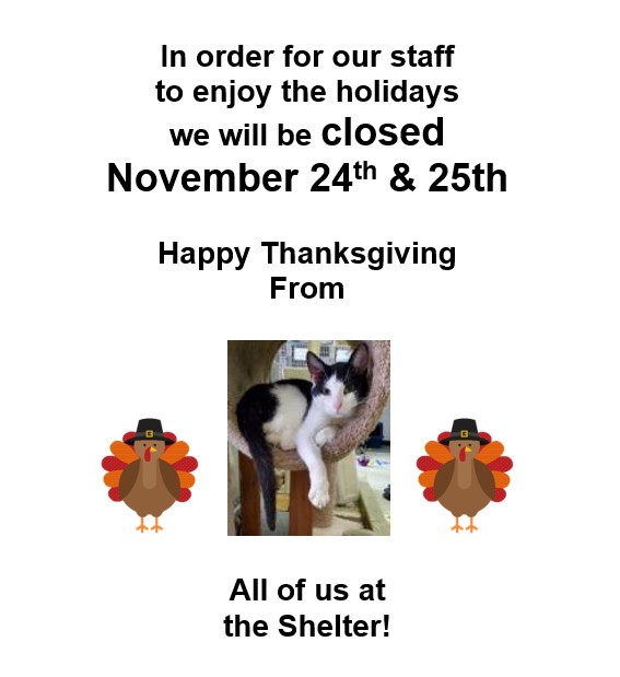 Closed for Thanksgiving @ Humane Society of Rome