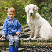 Scout and dog