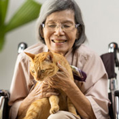 Pet Therapy